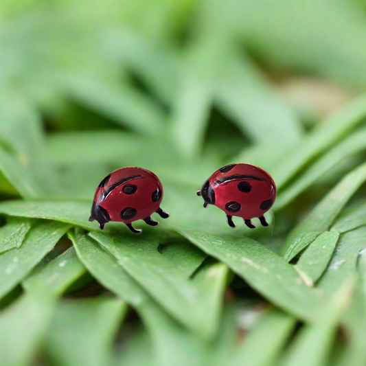 Lady bug silver earrings - Katerina Roukouna