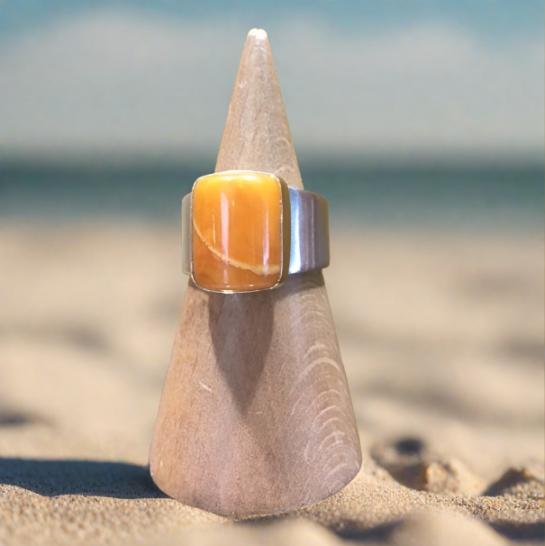 Amber ring with 18K gold and sterling silver - Katerina Roukouna
