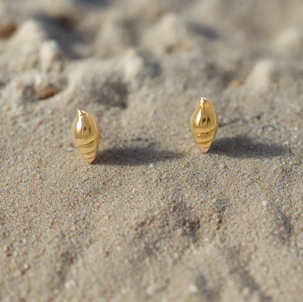 Tiny Seashell Stud Earrings - Katerina Roukouna