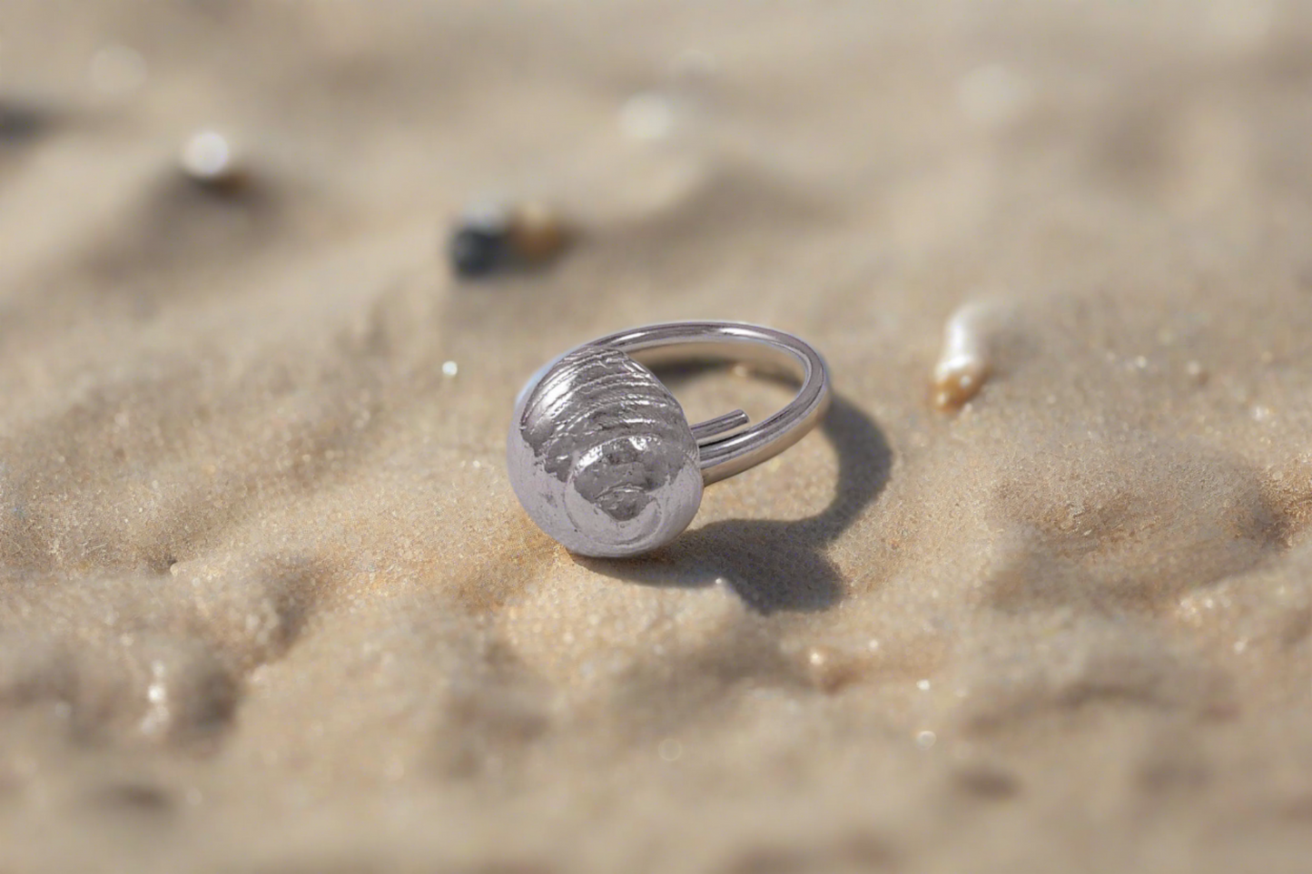 Sundial Seashell Silver Ring