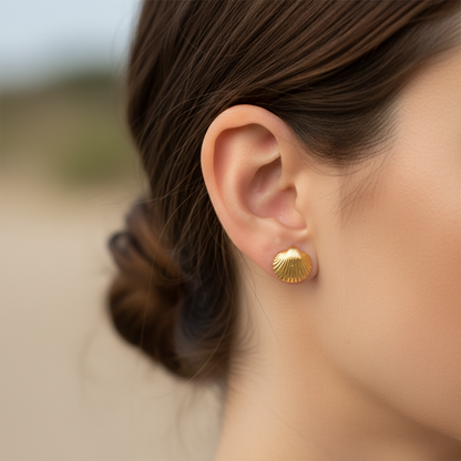 Tiny Clams Stud Earrings