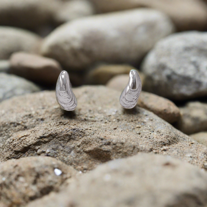 Tiny Mussels Stud Earrings