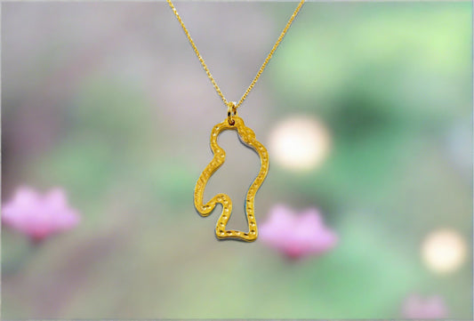 The outline of a bird made by goldplated silver with a chain
