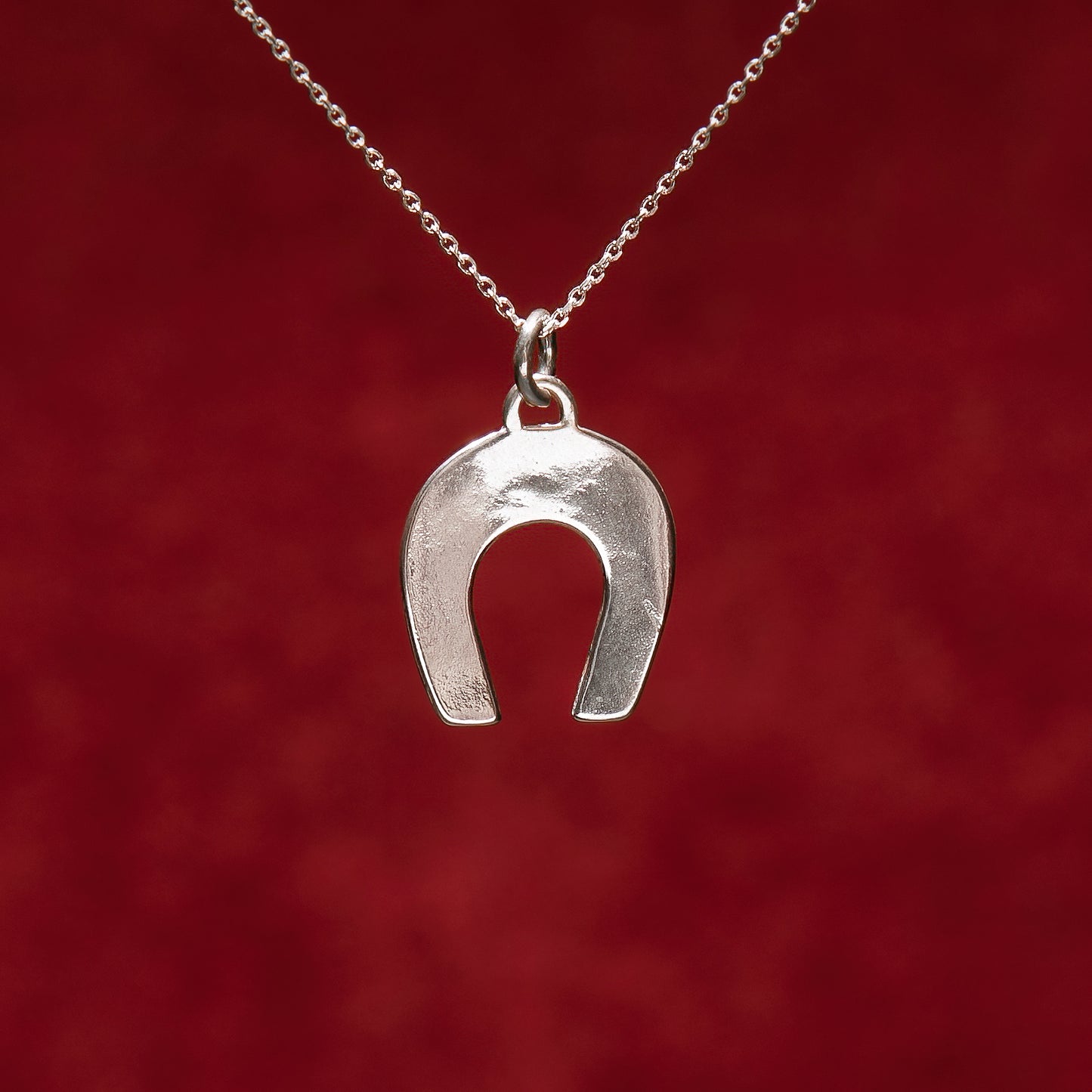Horse shoe lucky charm
